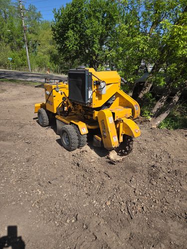  for American Outdoor Services & Stump Grinding in Maple Grove, MN