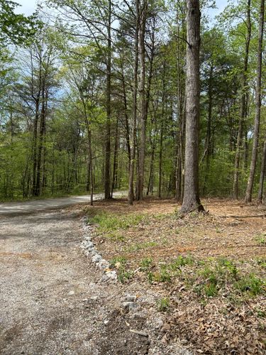  for Z's Land Management & Forestry Mulching in Smithville, TN