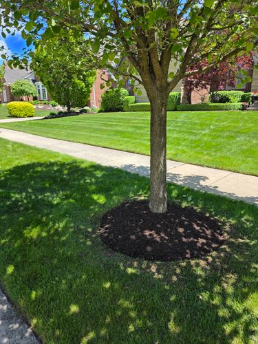  for Ivy Lawn and Landscaping in Oxford, MI