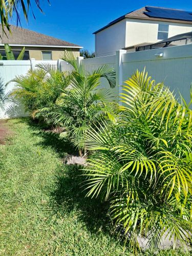 Landscaping for Shoreside Property Services in Apollo Beach, FL