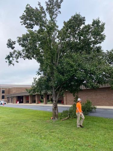 Fall and Spring Clean Up for Atwood’s Tree Care in Liberty,  KY