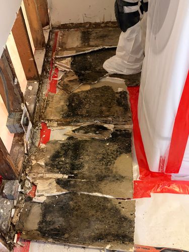 Mold Remediation for ACM Environmental in Salt Lake City, UT