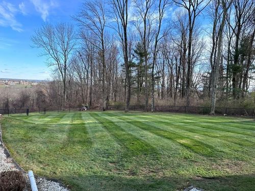 Fall Clean Up for Navedo’s Lawn Care LLC in Putnam, CT