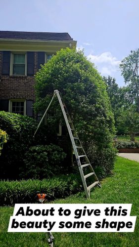 Landscaping for Surprising Odyssey in Gibsonville, NC