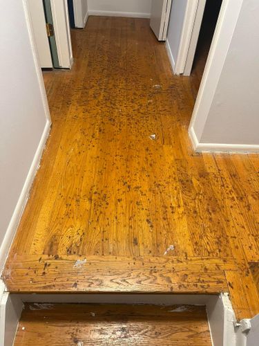 All Photos for Kozlowski’s Hardwood Floor Refinishing in Flat Rock, Michigan