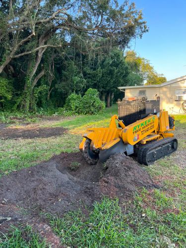 Stump Removal for Ryker's Tree Service in Dunedin, FL
