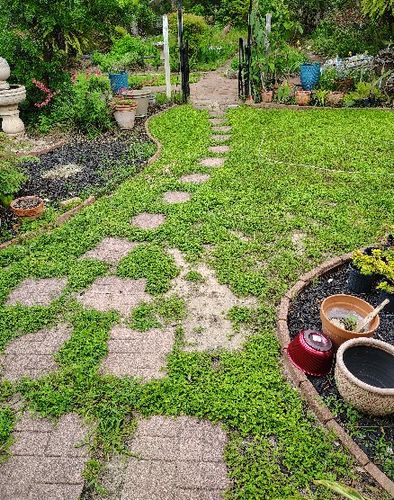 Lawn Maintenance for Bad Axe Landscapes LLC in Bulverde, TX