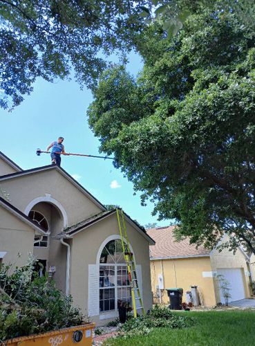 All Photos for A Southern Style Tree Service in Orlando, FL