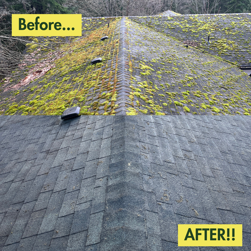 All Photos for Swift Serve in Coeur d'Alene, ID