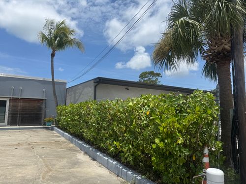 Trimming for Adam's Tree and Stump Care in Sarasota, FL