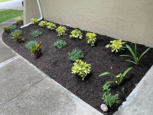 Rocks And Mulch for Team Tolson Landscape in Tampa Bay, FL