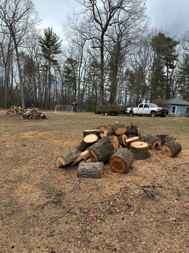 All Photos for Ramirez Tree Care in Elkin, NC