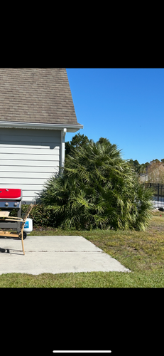 All Photos for New Creation Landscaping in Myrtle Beach, SC