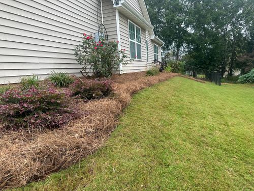 Mulch & Pinestraw Beds for Castillo’s Lawn Care in Monroe, GA