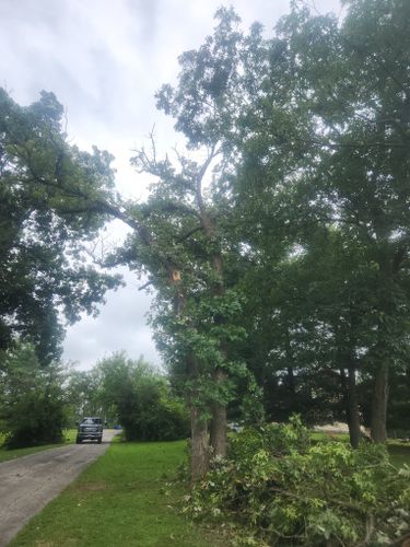  for Lawn Ranger Yard And Tree Service LLC in Ottumwa, IA