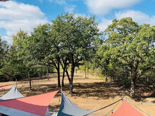 Tree Removal for Tree2Tree Tree Service in Sherman, Texas