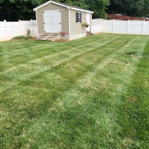 Fall and Spring Clean Up for Kyle's Lawn Care in Kernersville, NC