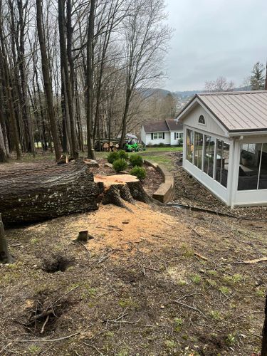  for J&E Tree & Excavation Services in Sandy, PA