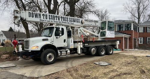Crane Rental for Down To Earth Tree Service, LLC in Olmsted Falls, OH