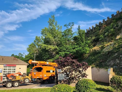 All Photos for Carpenter's Tree Service in Aurora, IN
