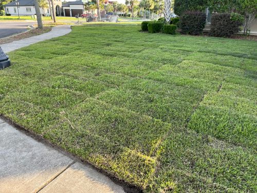 All Photos for New Creation Landscaping in Myrtle Beach, SC