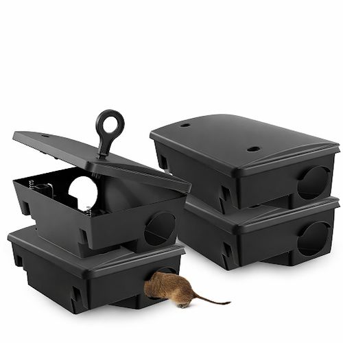 Rodent Control Services for Platinum Pest Control in Spring Hill, FL