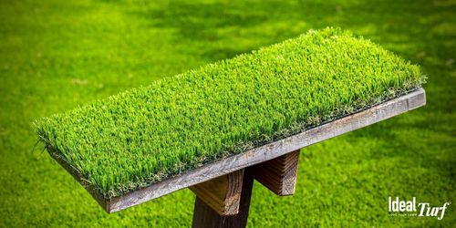  for Coastalscapes Landscaping & Turf Management  in Savannah, GA