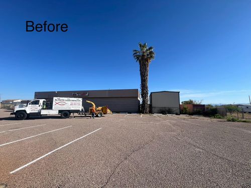 Stump Removal for By Faith Landscaping in Sierra Vista, AZ