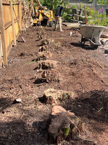 Stump Removal for Busy Beaver Stump Removal, Inc in Clearwater, FL