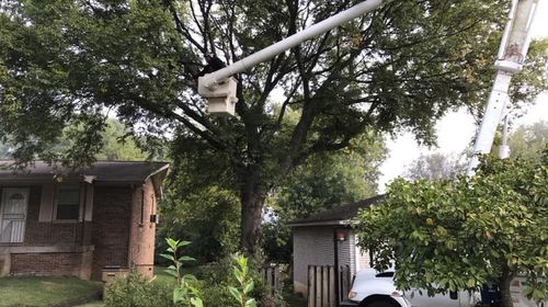 Emergency Tree Service for JayBird Tree Service  in Goodlettsville, TN
