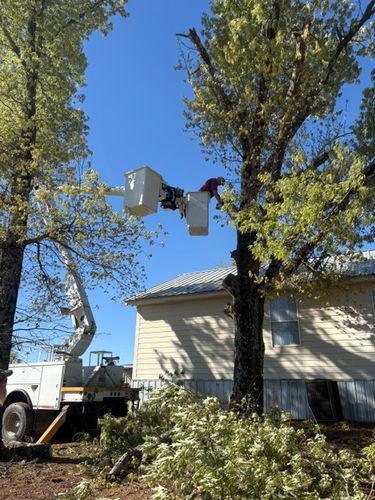 Tree Trimming for H3 Land Management in Centerville, TX