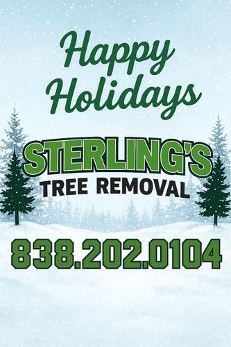  for Sterlings Tree Removal in Cobleskill, New York