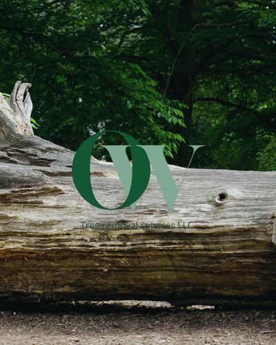  for Oakwood Tree Removal LLC in Oak Creek,  WI
