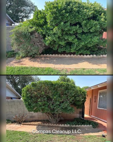 Shrub Trimming for Compas Cleanup in McCamey, TX