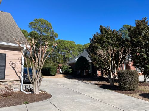 All Photos for New Creation Landscaping in Myrtle Beach, SC