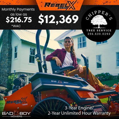 Tree Removal for Chipper's Tree Service  in Fort Payne, AL