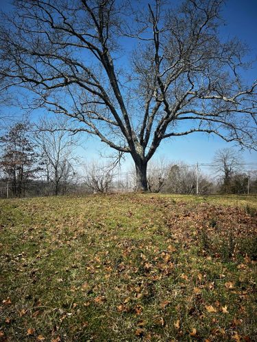  for Premier Outdoors and Land Management in Baxter, TN