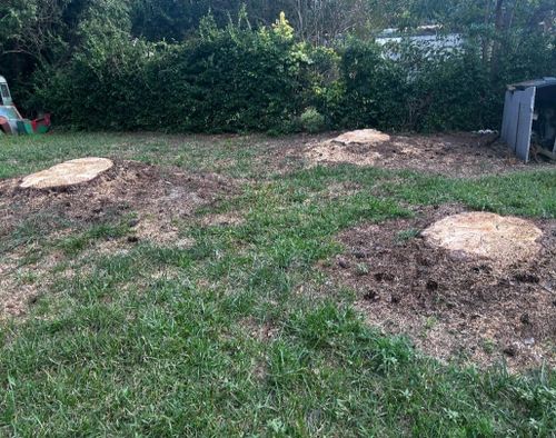 Stump Grinding for Anchor & Grind Stump in Chesapeake, VA