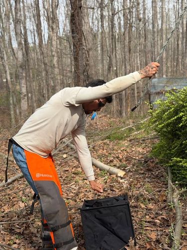 All Photos for Ramirez Tree Care in Elkin, NC