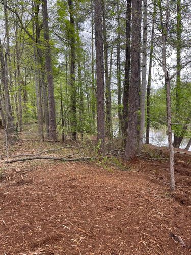 Satisfied customers Before and After for G&H Forestry Mulching and Land Services in Fayetteville, GA