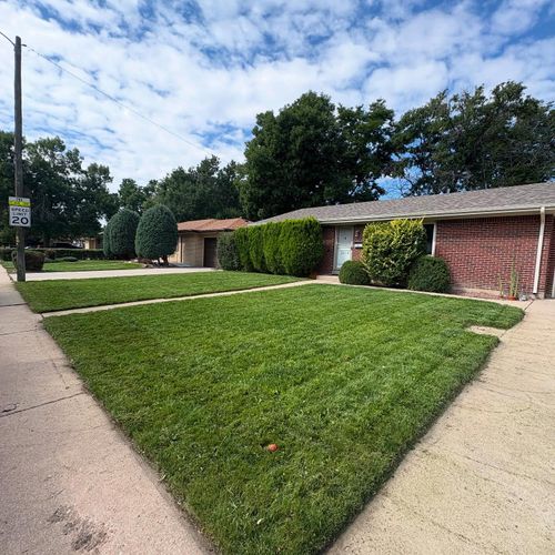 Mowing, Edging & Trimming for Denver Bros Lawn Control in Denver, CO