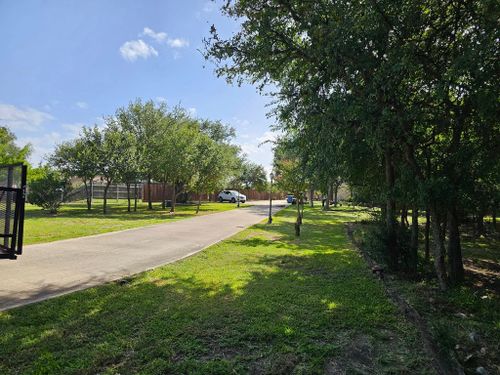 Tree Trimming for Miller Mowing and Maintenance in San Antonio, TX