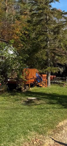  for Sterlings Tree Removal in Cobleskill, New York