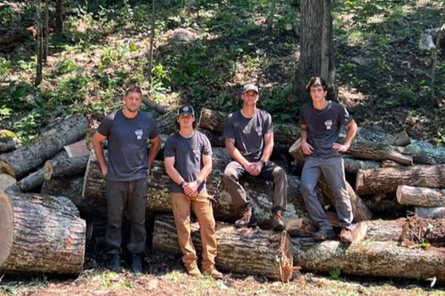 All Photos for Blue Ribbon Tree Service in Gilford, NH