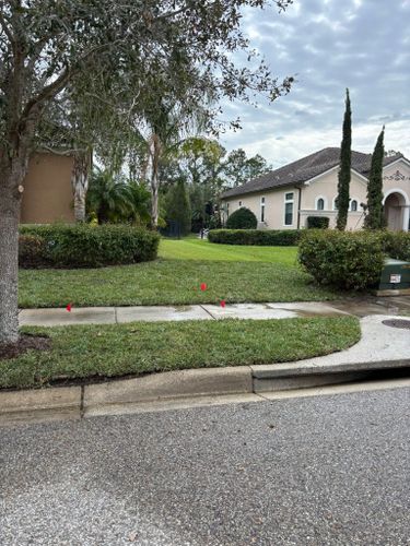 Lawn Aeration for MJK Landscaping LLC in Wesley Chapel, FL