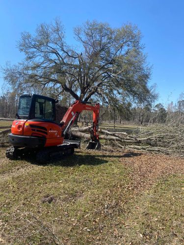 Tree & Shrub Care for T&S Land Management Services in Effingham County, GA