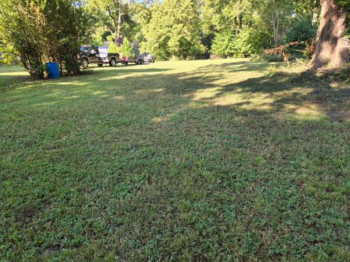 Fall Clean Up for Fresh Cut Yard & Lawn Care LLC in Forsyth, GA