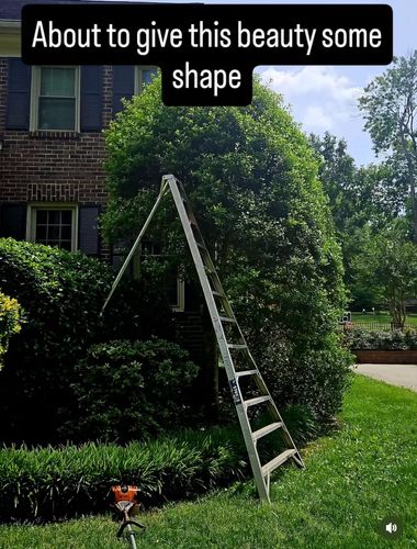 Landscaping for Surprising Odyssey in Gibsonville, NC