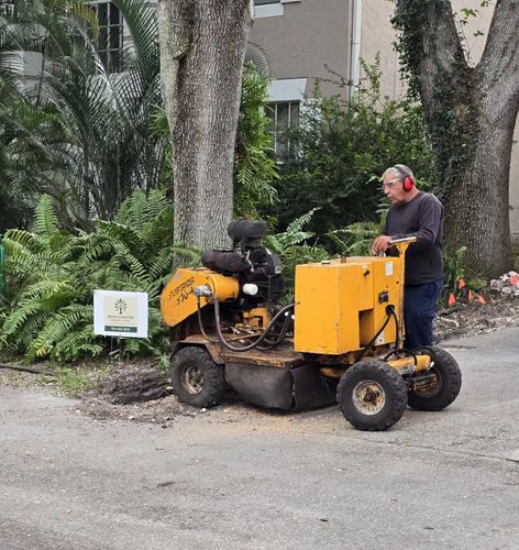 All Photos for Bridgewater Arbor Care LLC in Jupiter, FL