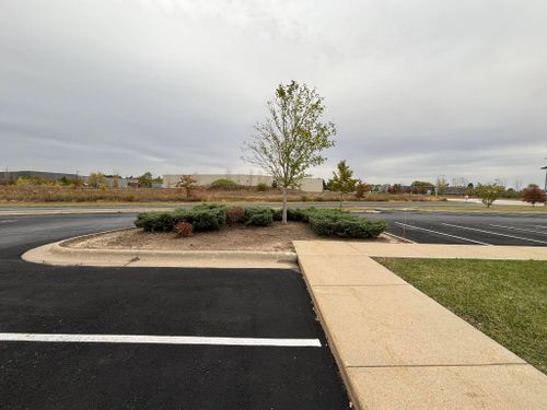  for Cena Landscaping in Rockford, IL